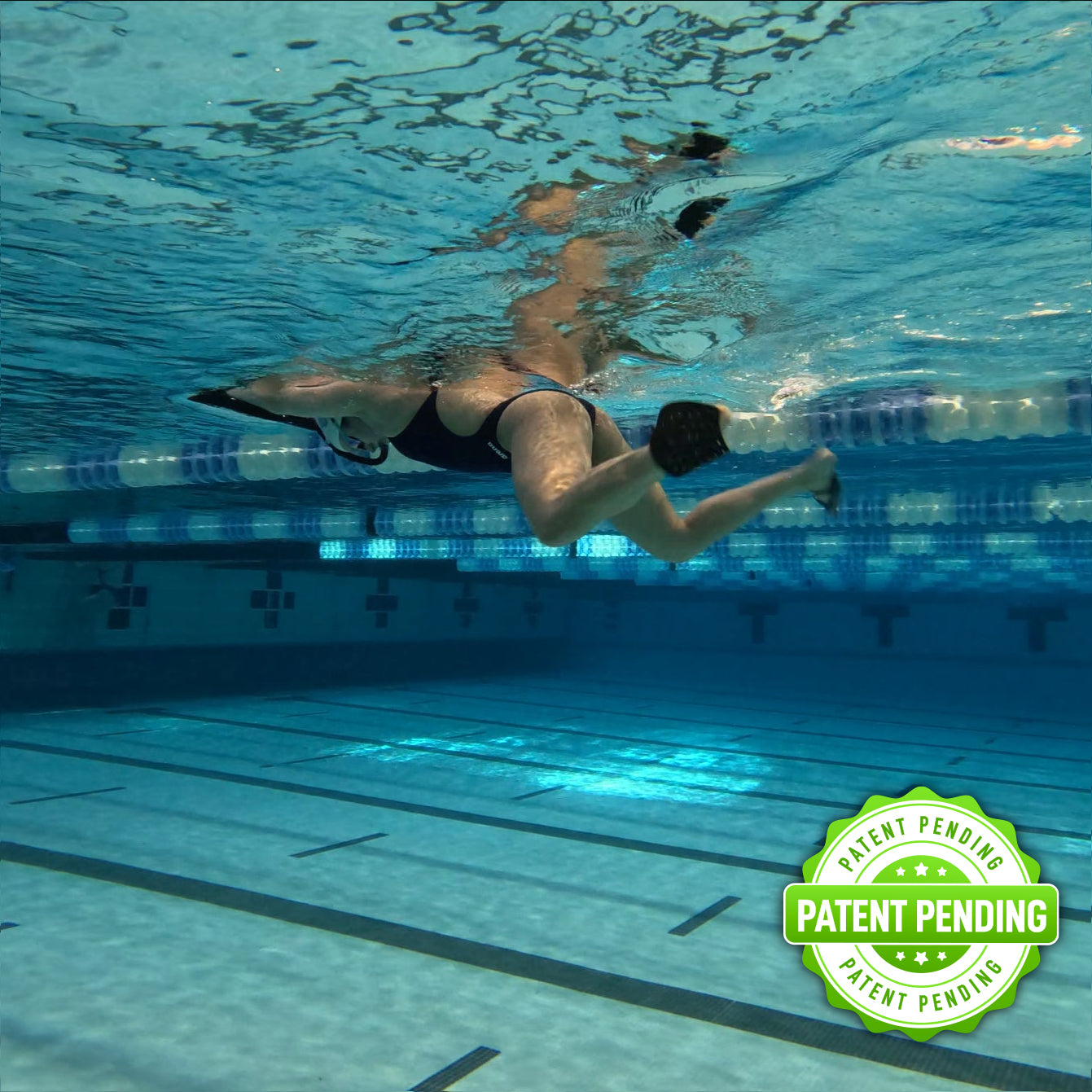 Muestra gratuita de paletas