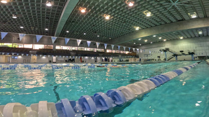BRstroke Kick Paddles