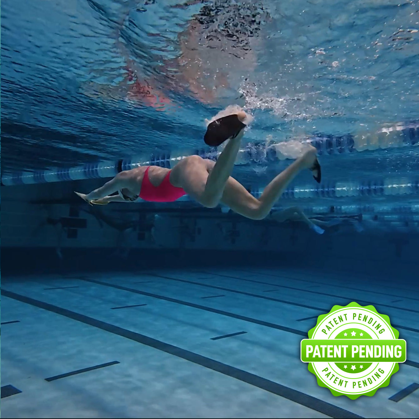 Muestra gratuita de paletas